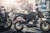 Side angle of two motorcycles parked next to a curb.
